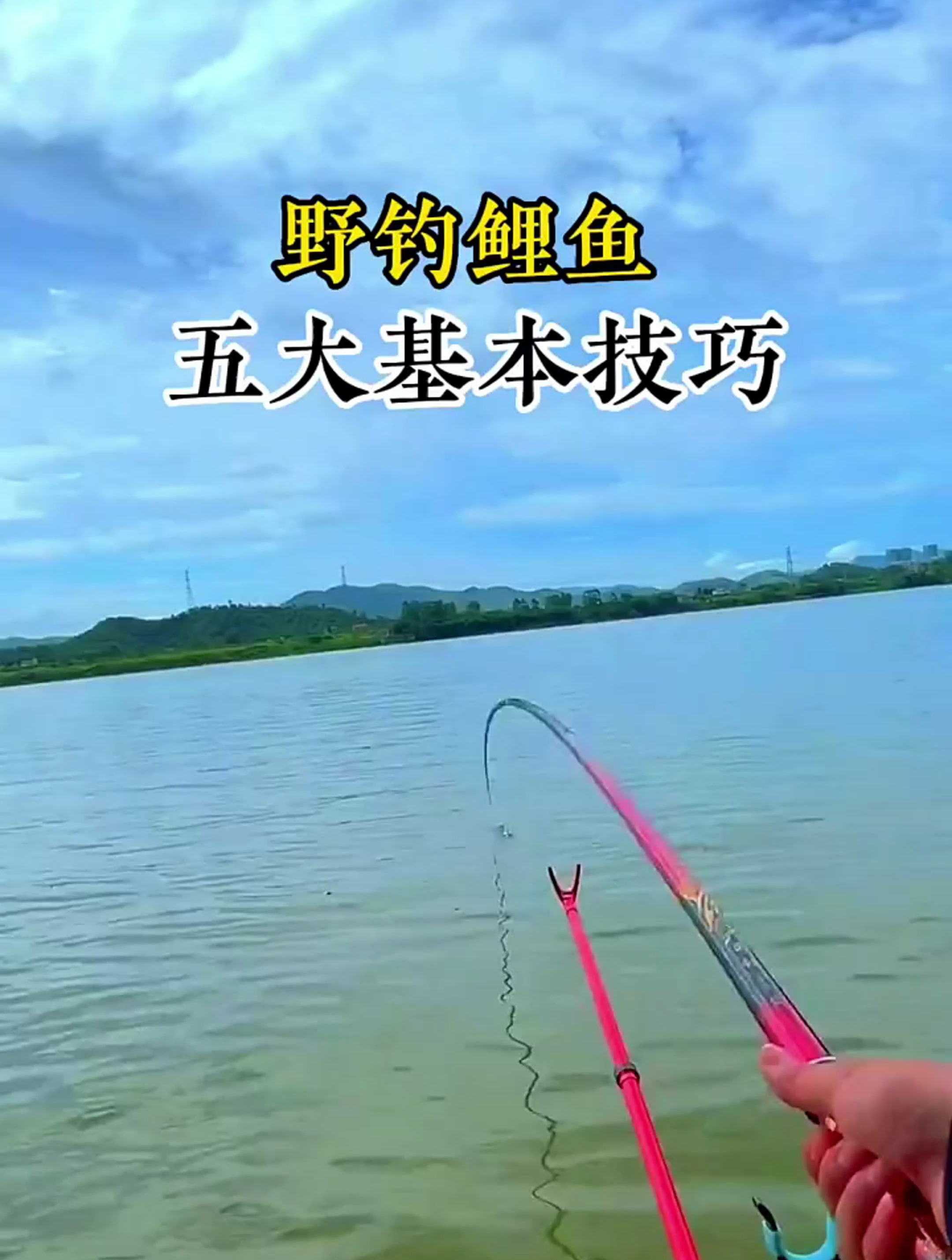 野钓鲤鱼五大基本技巧新手必学钓鱼技巧