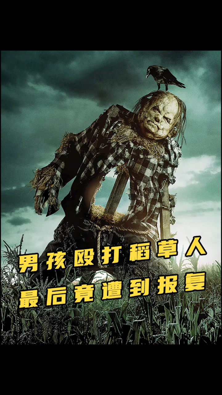 男孩殴打农田里的稻草人 结果悲剧啦 恐怖片 科幻 推荐电影