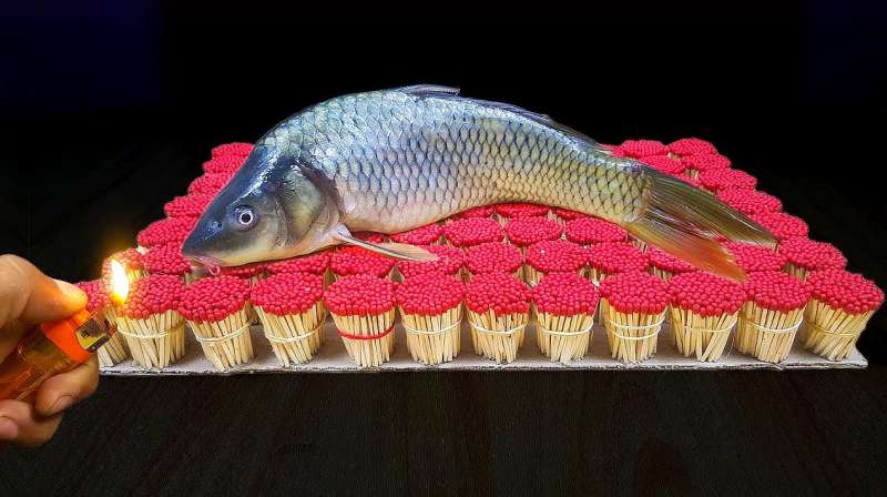 一分钟读懂邪器8