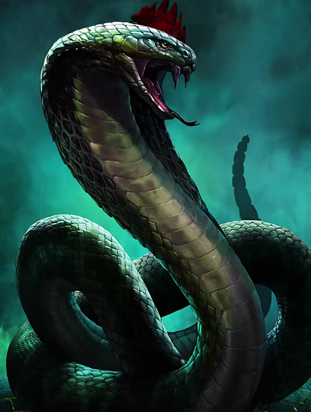 盗墓笔记中的野鸡脖子鸡冠蛇-度小视