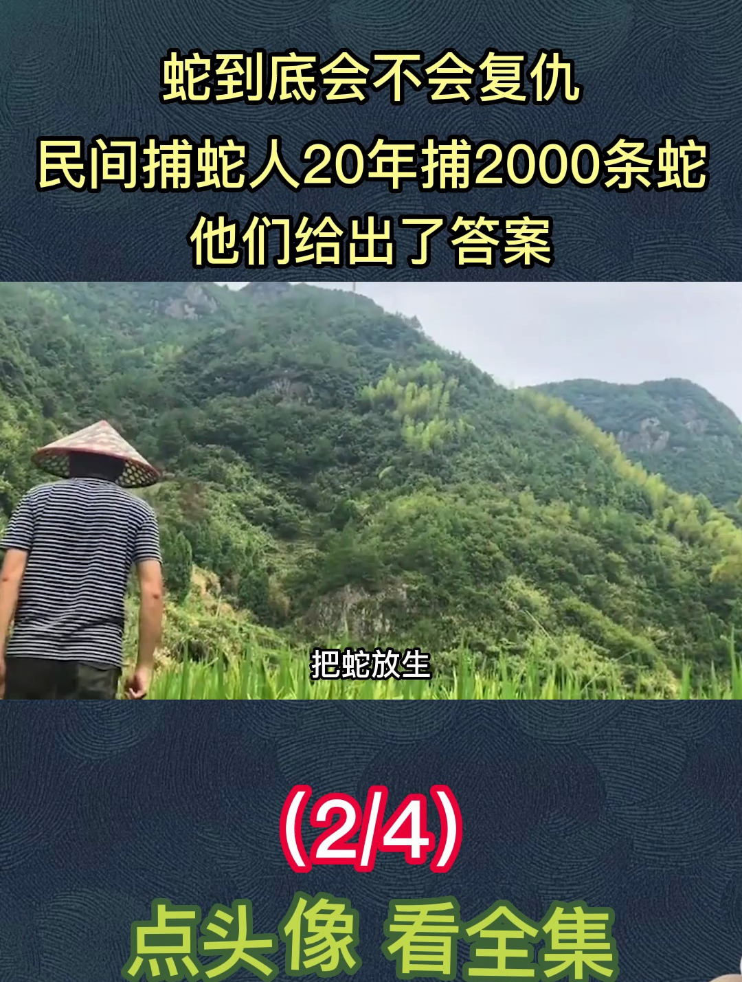 民间捕蛇人20年捕2000多条蛇,他们给出了答案