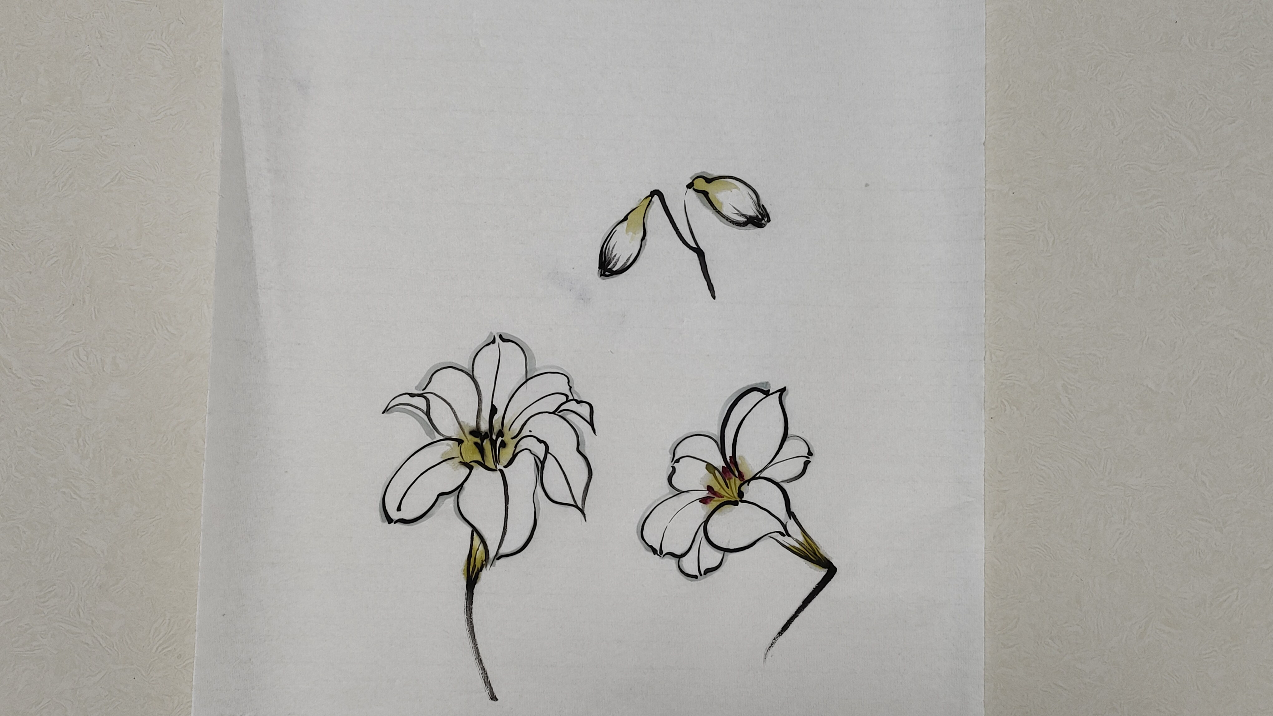 忆中的番茄国画,教您百合花画法
