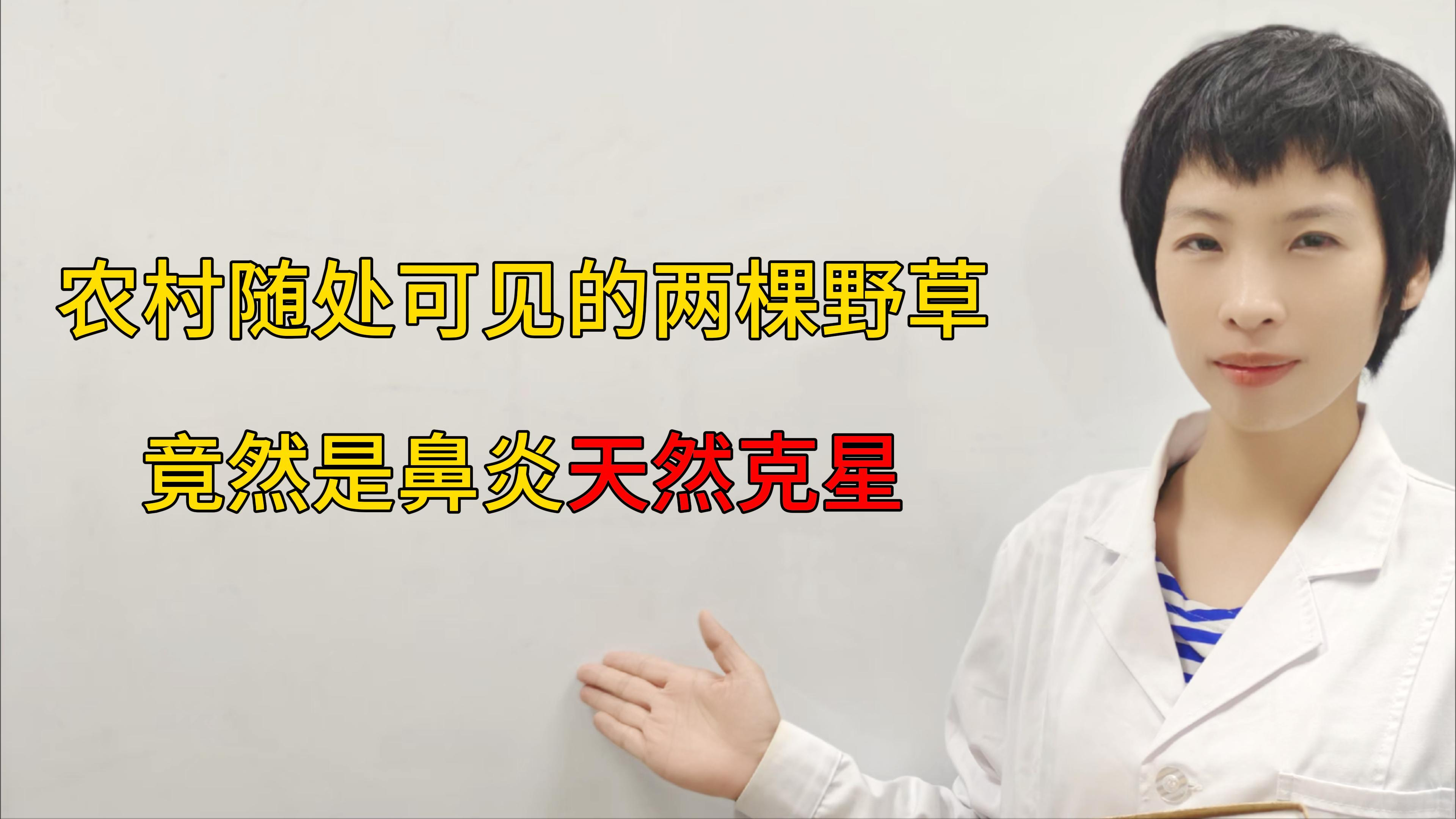 农村随处可见的两颗野草,竟然是鼻炎天然克星
