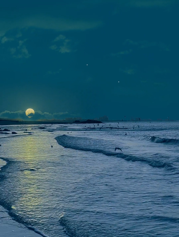 艾特一个愿意陪你在海边看星星的人~风景