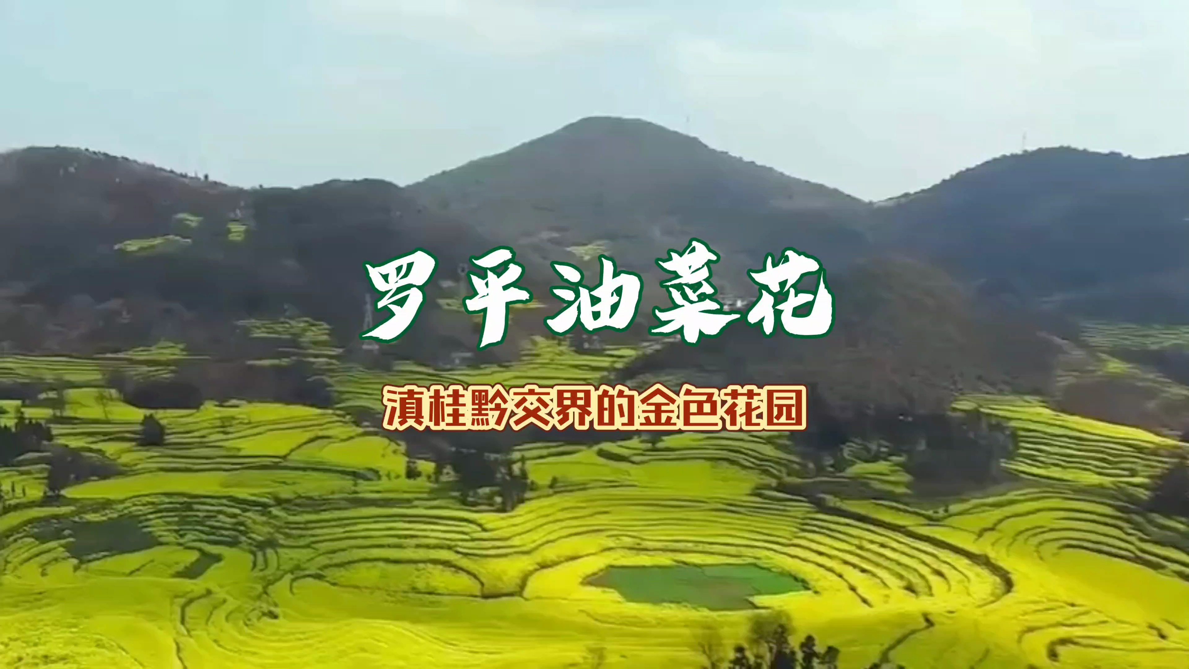 罗平油菜花,隐藏在滇桂黔三省交界的金色花园~