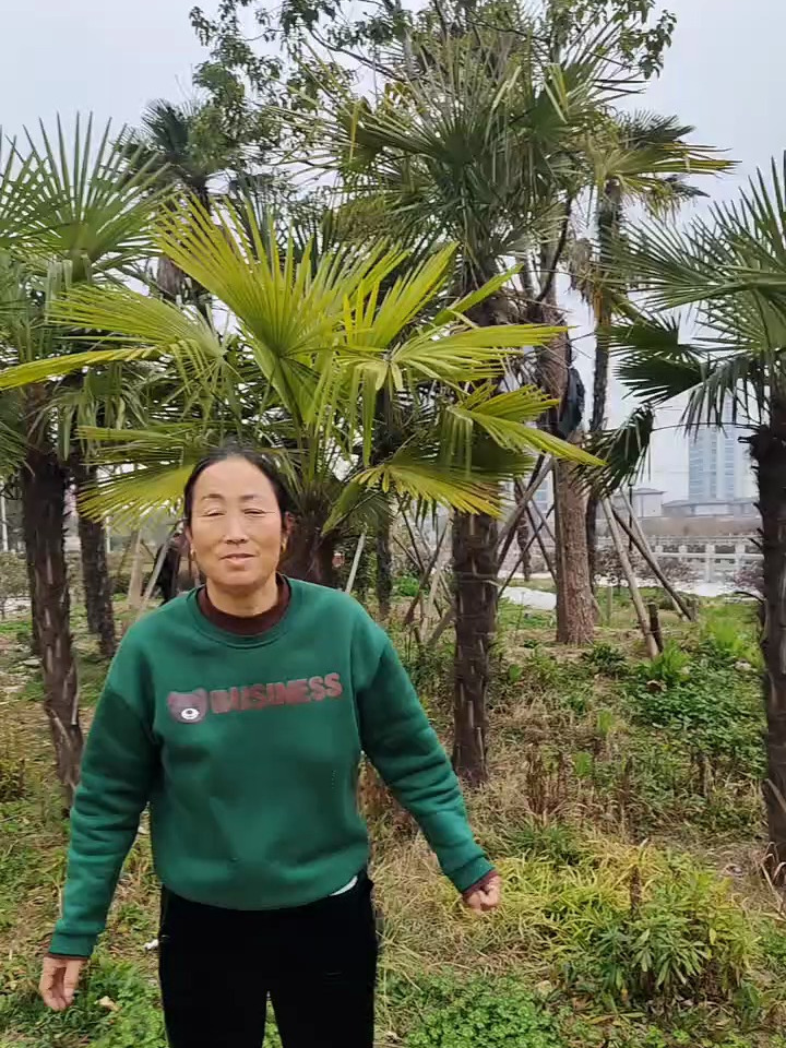 每个人都是不容易的事多农村大妈爱唱歌