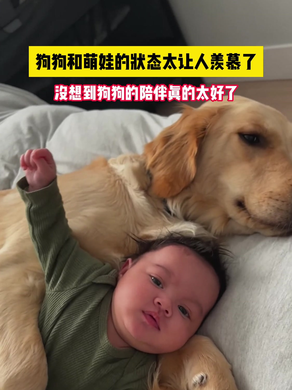 狗狗和萌娃的状态太让人羡慕了