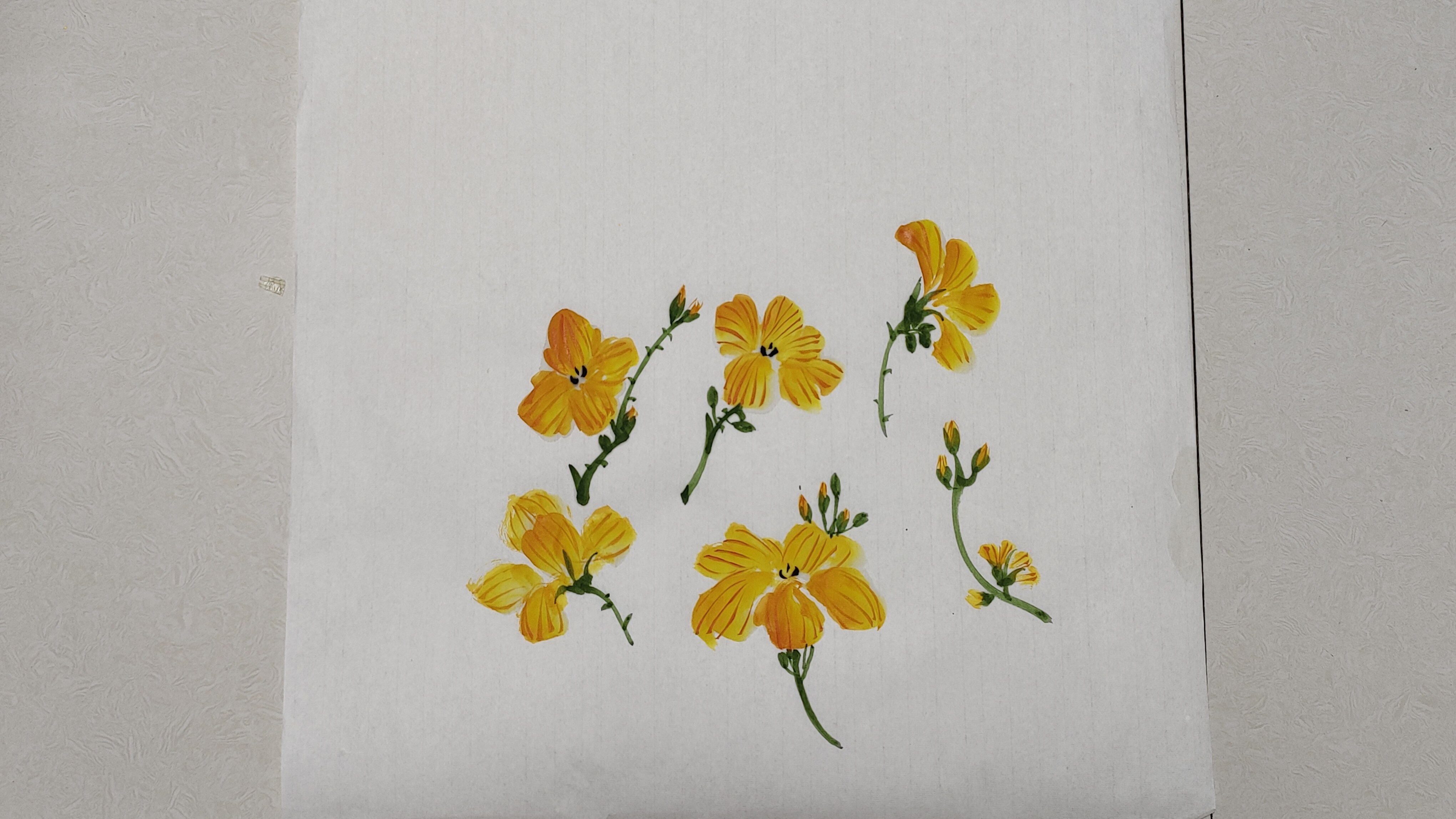 写意丝瓜花画法,两种颜色教会你