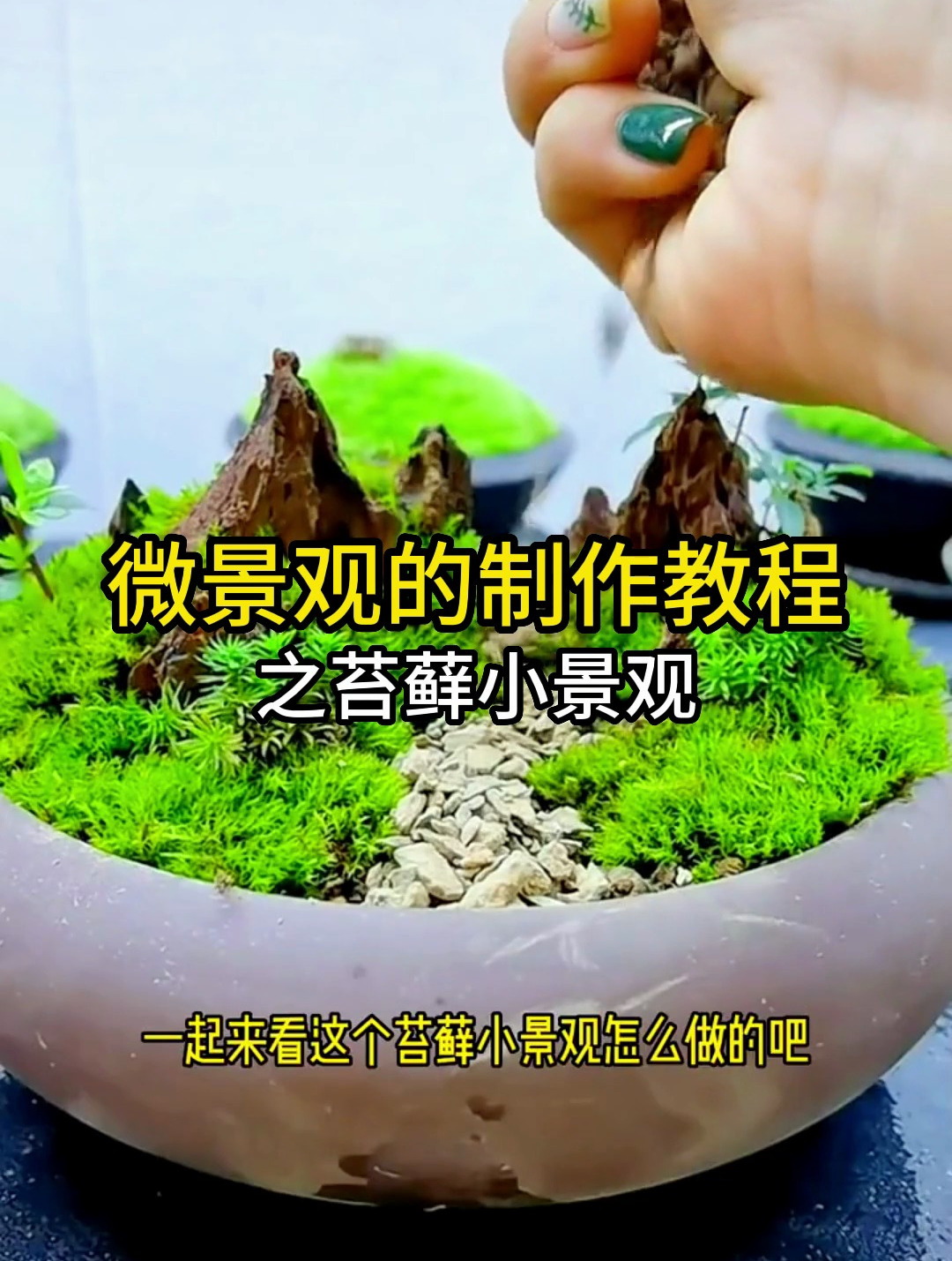 微景观制作教程简易图片