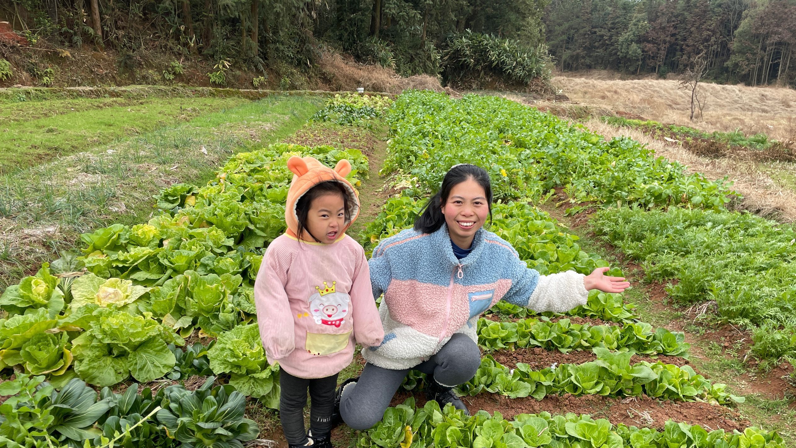 农村土地就是多,各式各样的新鲜蔬菜,看看都有哪些?