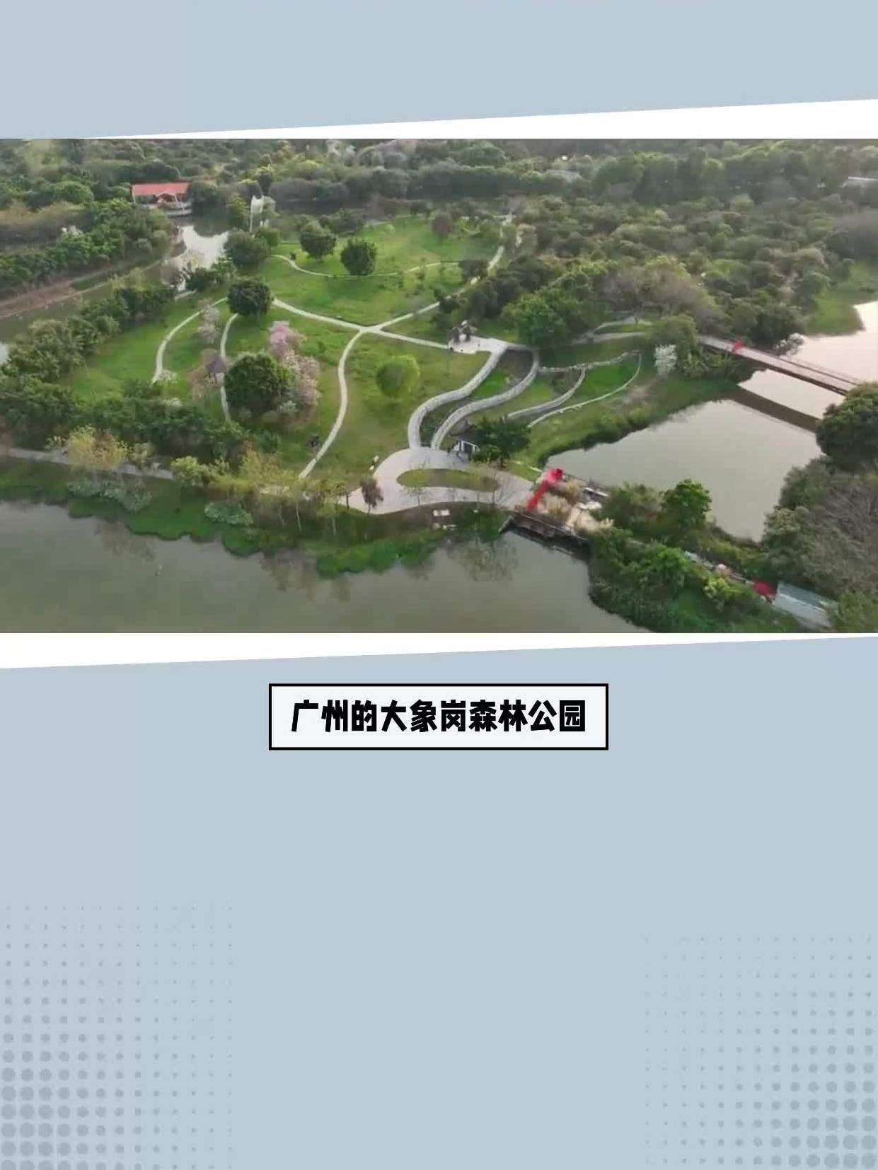大象岗森林公园:一个充满活力的自然景观