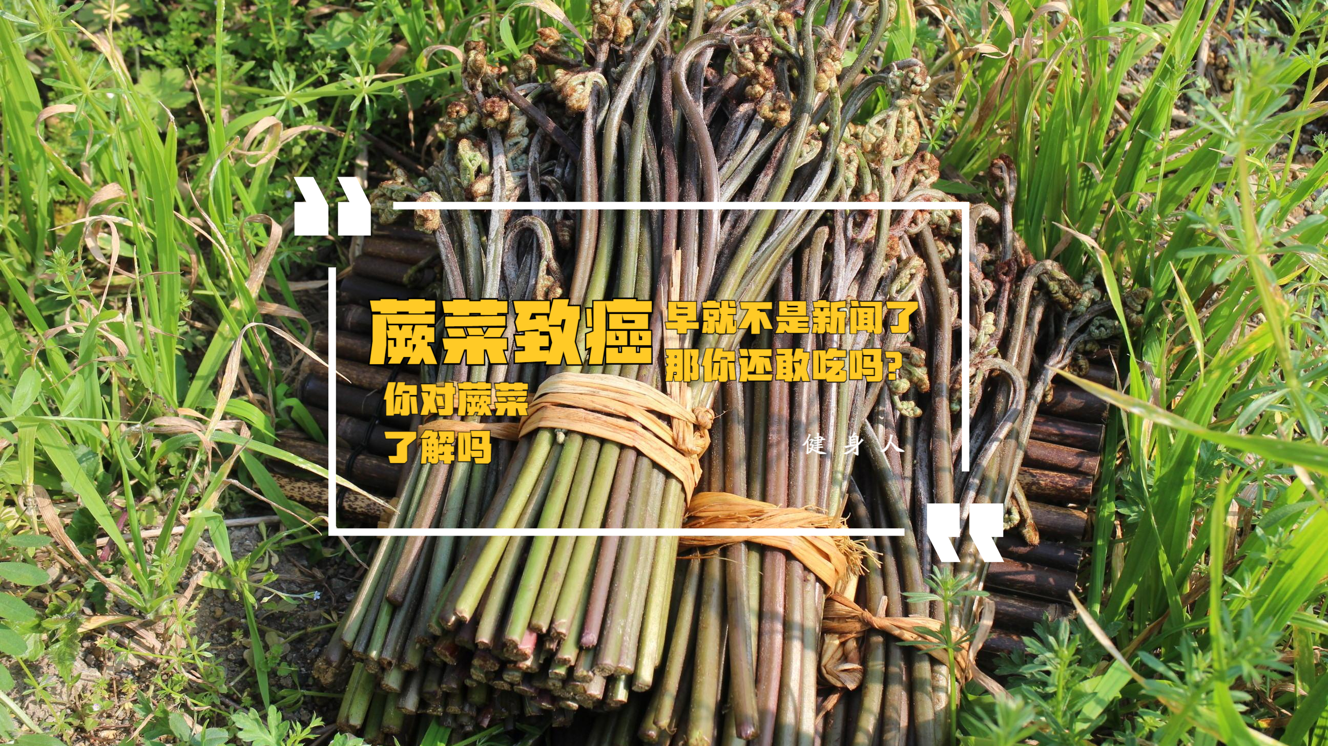 蕨菜致癌,早就不是新闻了,你还敢吃吗?
