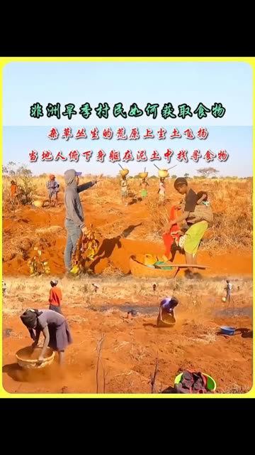 当非洲的旱季来临时荒原上尘土飞扬,当地人在泥土中找寻食物