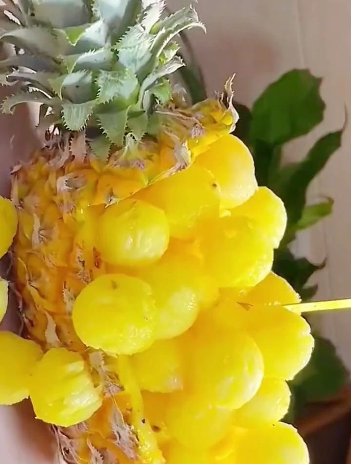 菠萝的正确吃法,简单又好看的创意水果拼盘创意果盘制作方法