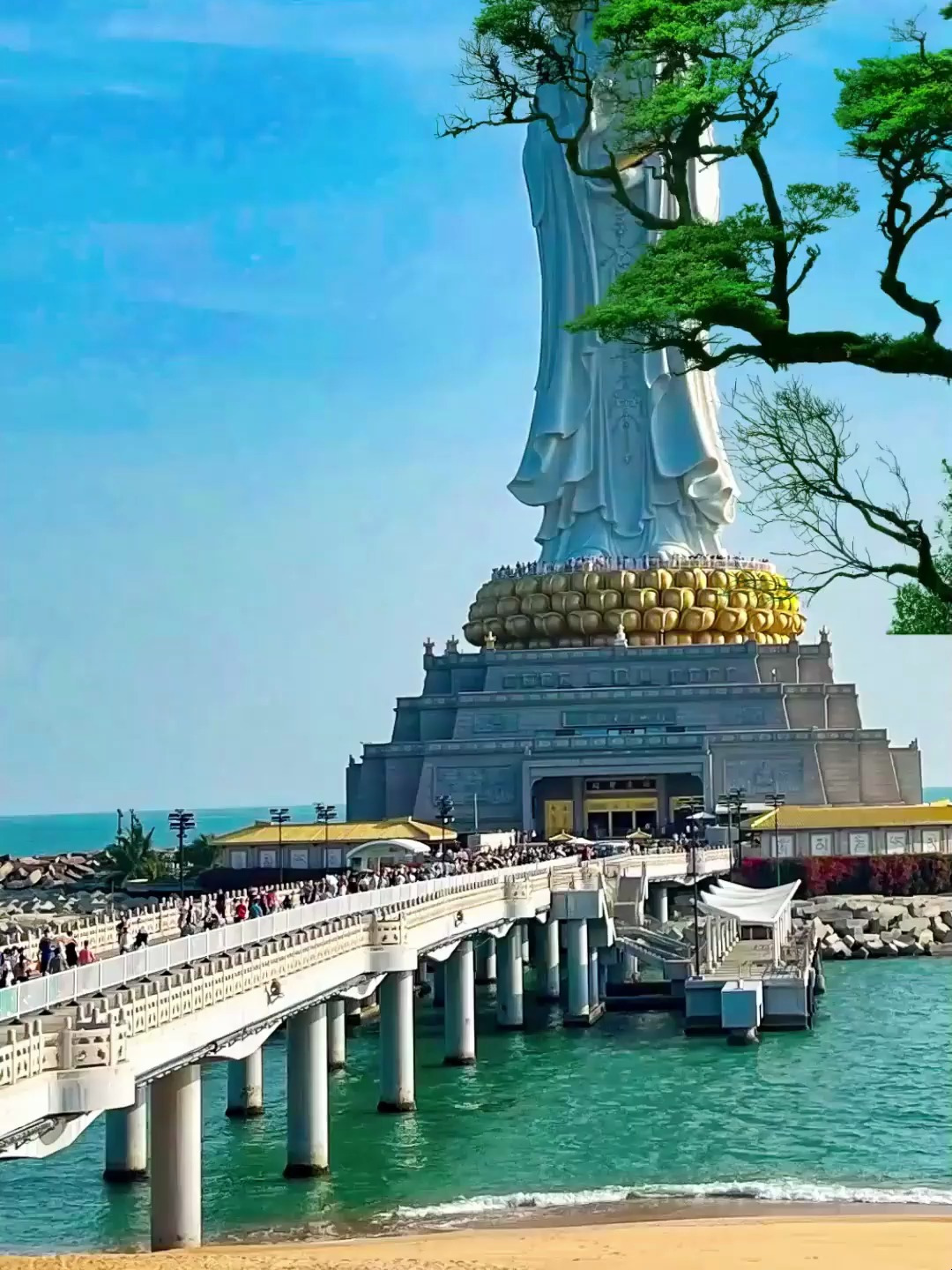 春天普陀山:禅境与山海的春日交响