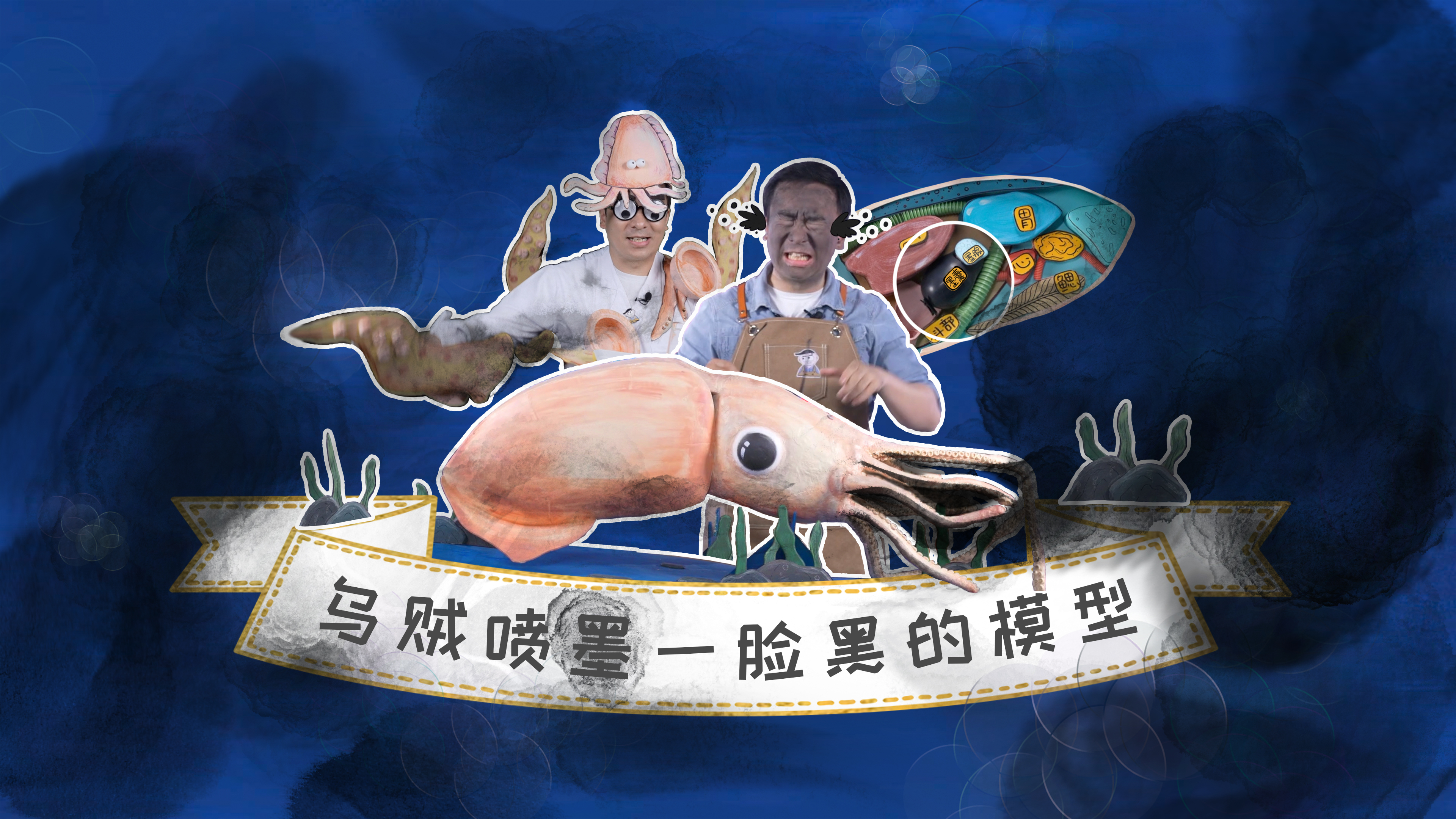 一言不合就喷墨，乌贼这一肚子黑水儿哪儿来的？