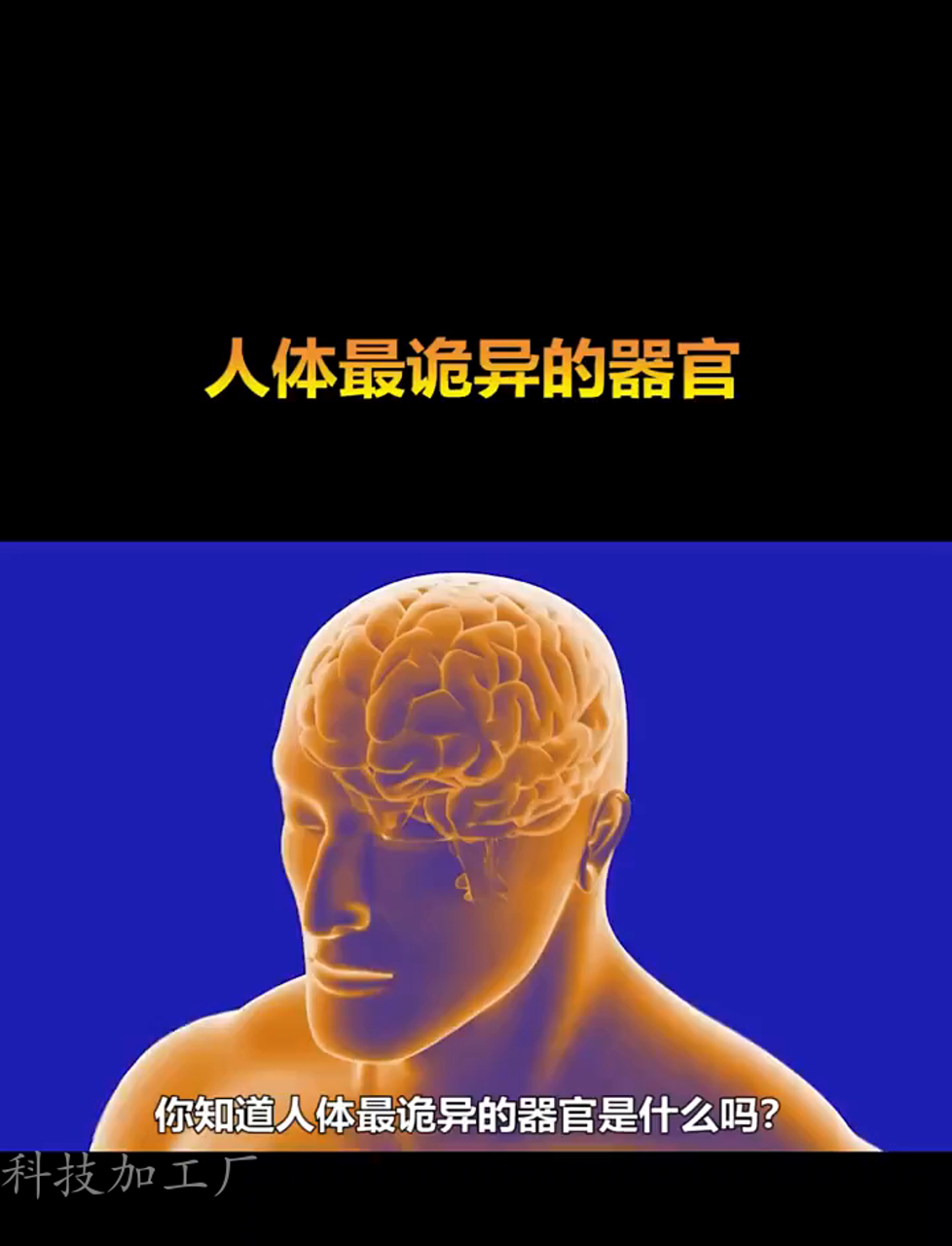 人体中最诡异的器官
