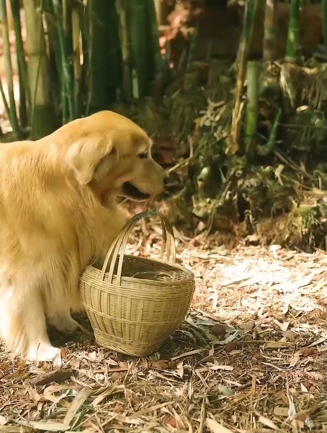 生活平淡却充满爱,柴米油盐中的温暖瞬间