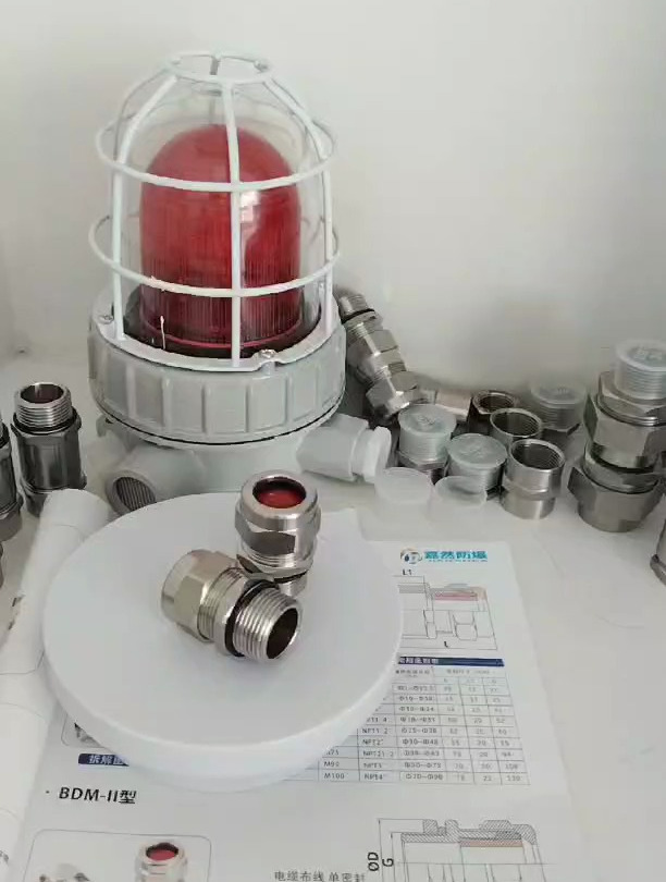 bdm-Ⅱ型防爆格兰头电缆密封接头非铠装接头m20防爆填料函厂家