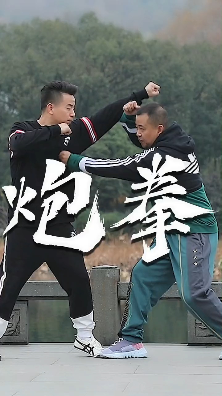 真正的炮拳顾打如一!刁钻隐蔽!形意拳