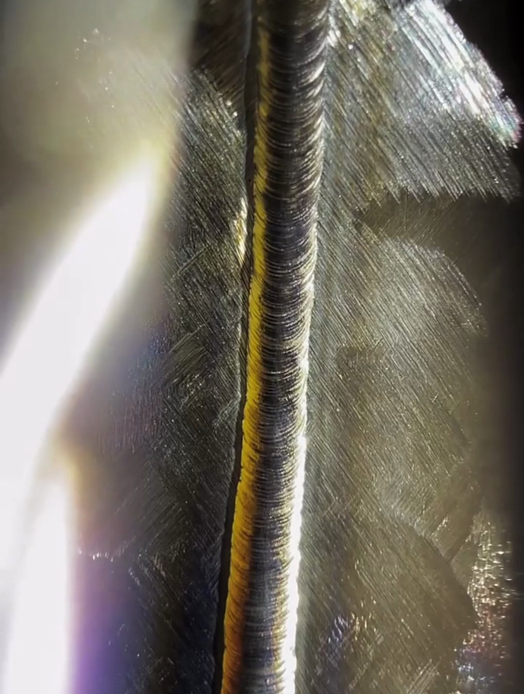 我们厂的焊工,这作品让人看着都是一种享受