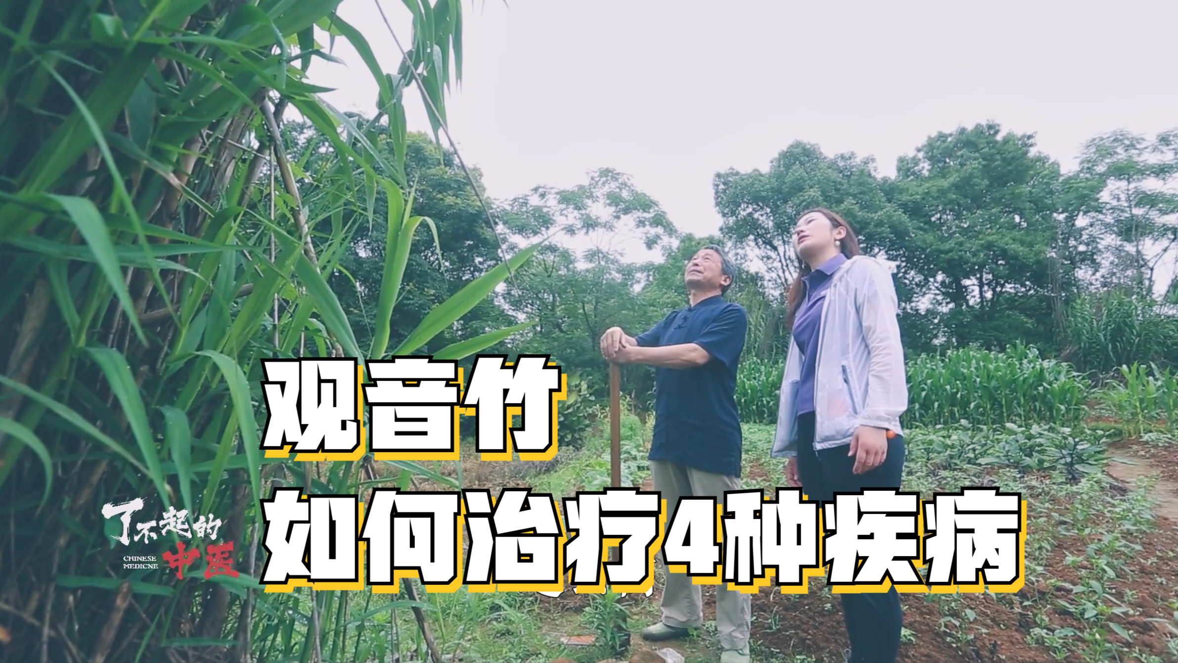 每种病都有针对药方!一种形似生姜的草药,如何配伍治疗前列腺炎