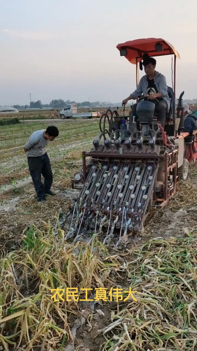 蒜头自动收割机