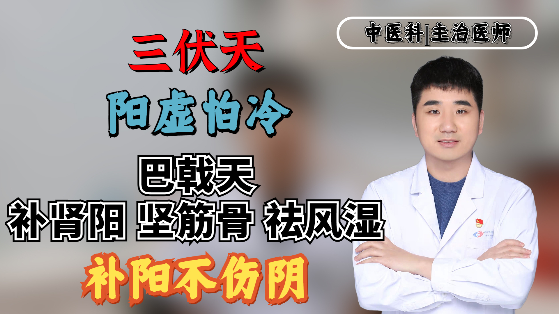 三伏天阳虚怕冷?巴戟天,补肾阳、坚筋骨、祛风湿,补阳不伤阴