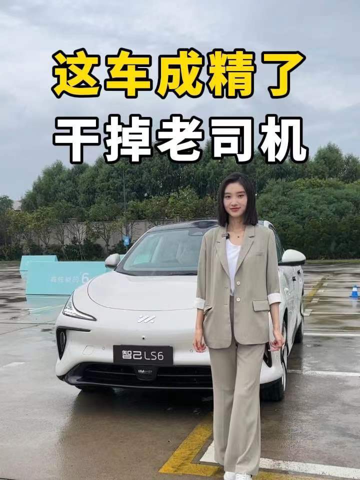 只需点一下!ai代驾帮你开,新手秒变老司机