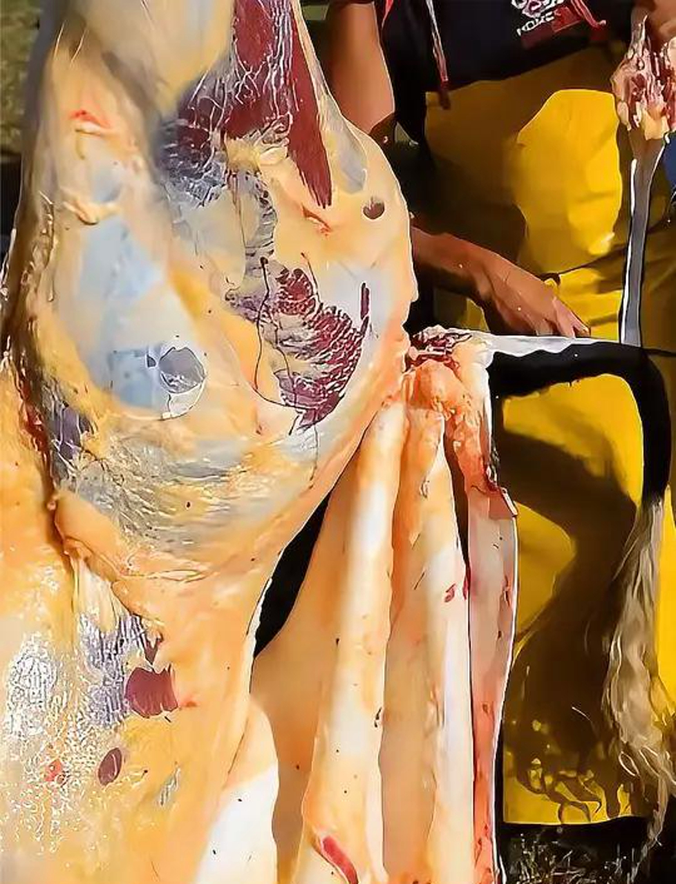 土耳其牛屠夫技艺高超,杀牛速度快得惊人,烟还没抽完一头牛就搞定了