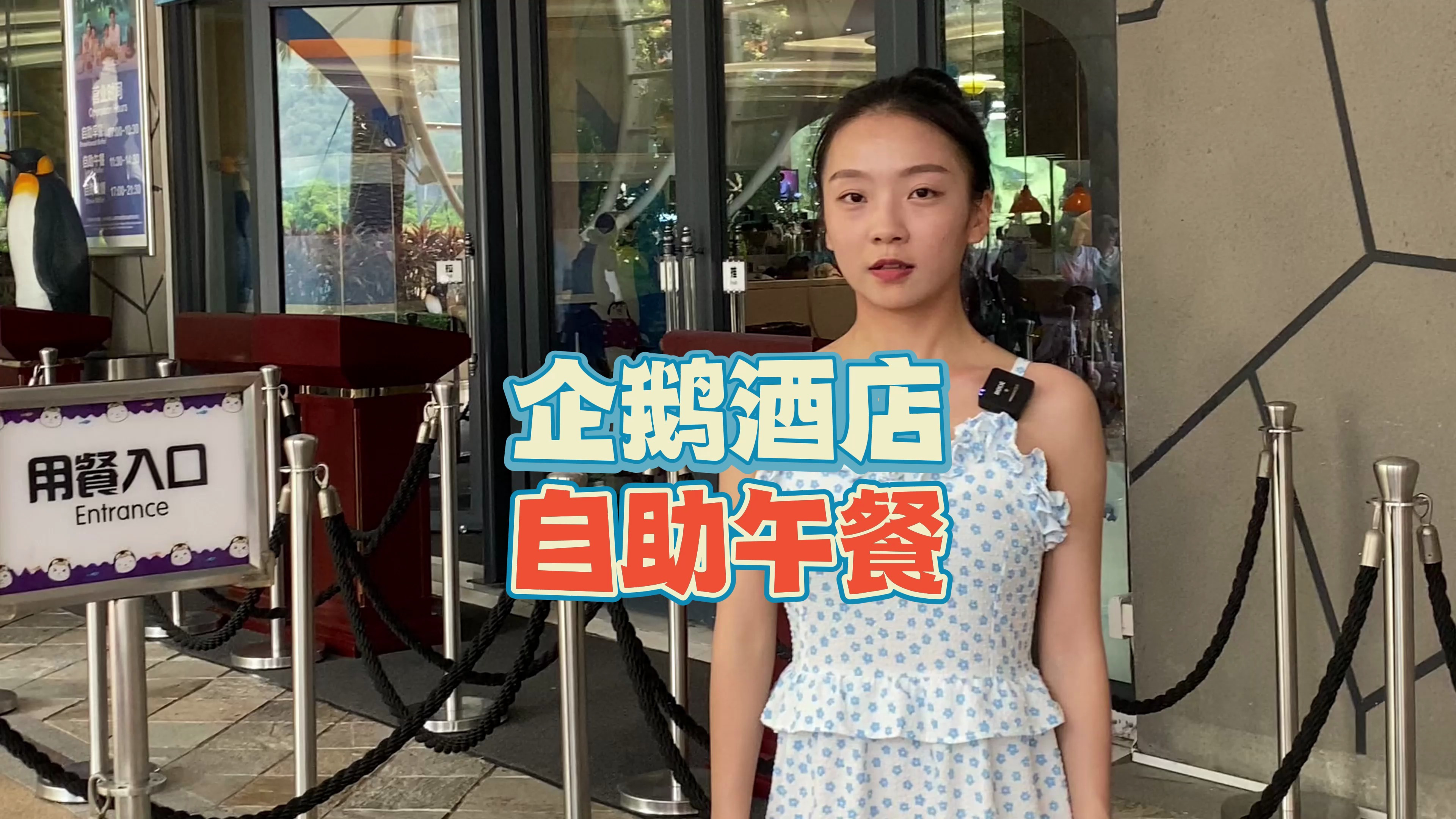 珠海长隆企鹅酒店有自助午餐啦!