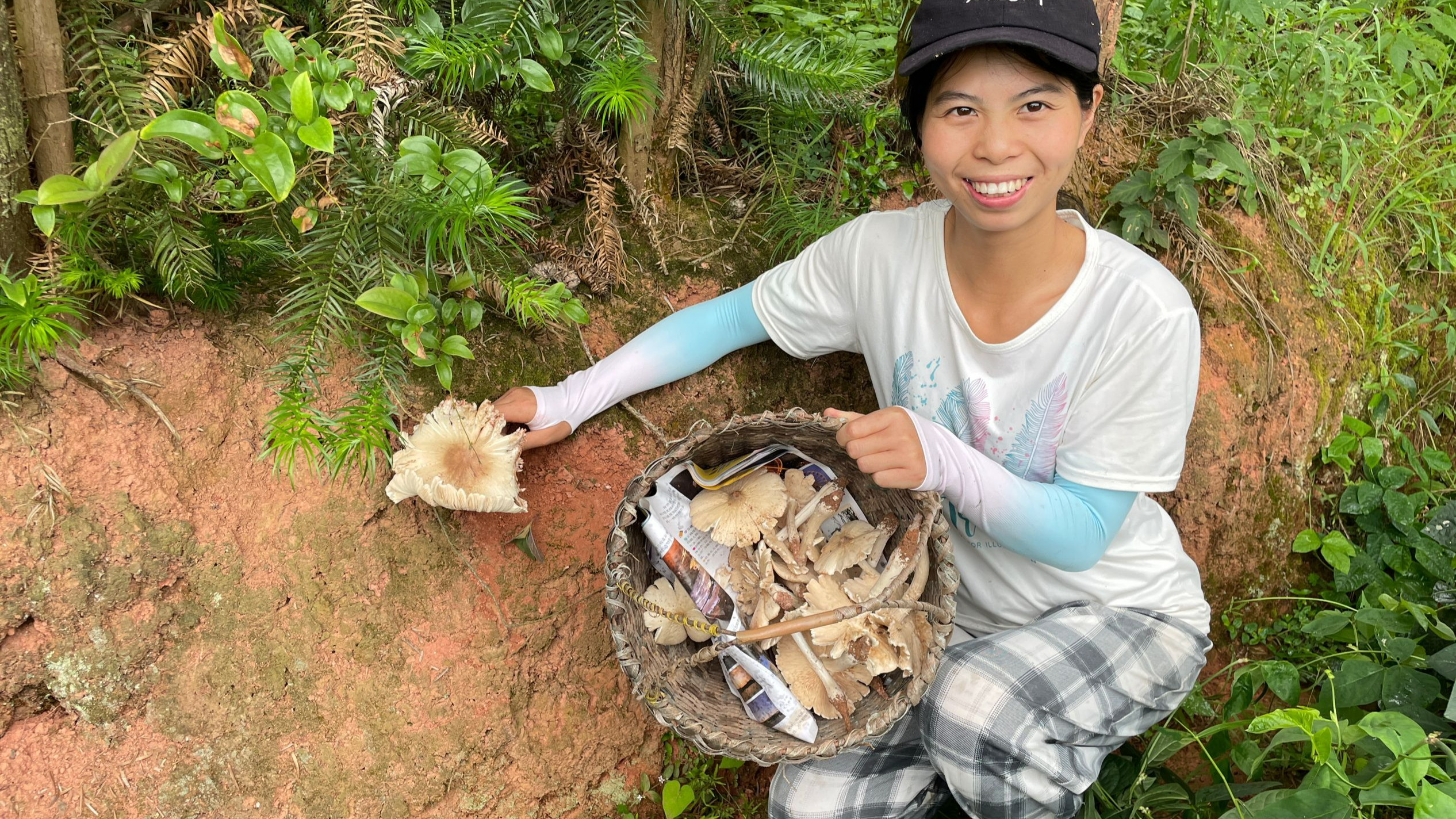 小秀户外采鸡枞菌,农村野生的新鲜蘑菇,你们吃过吗?