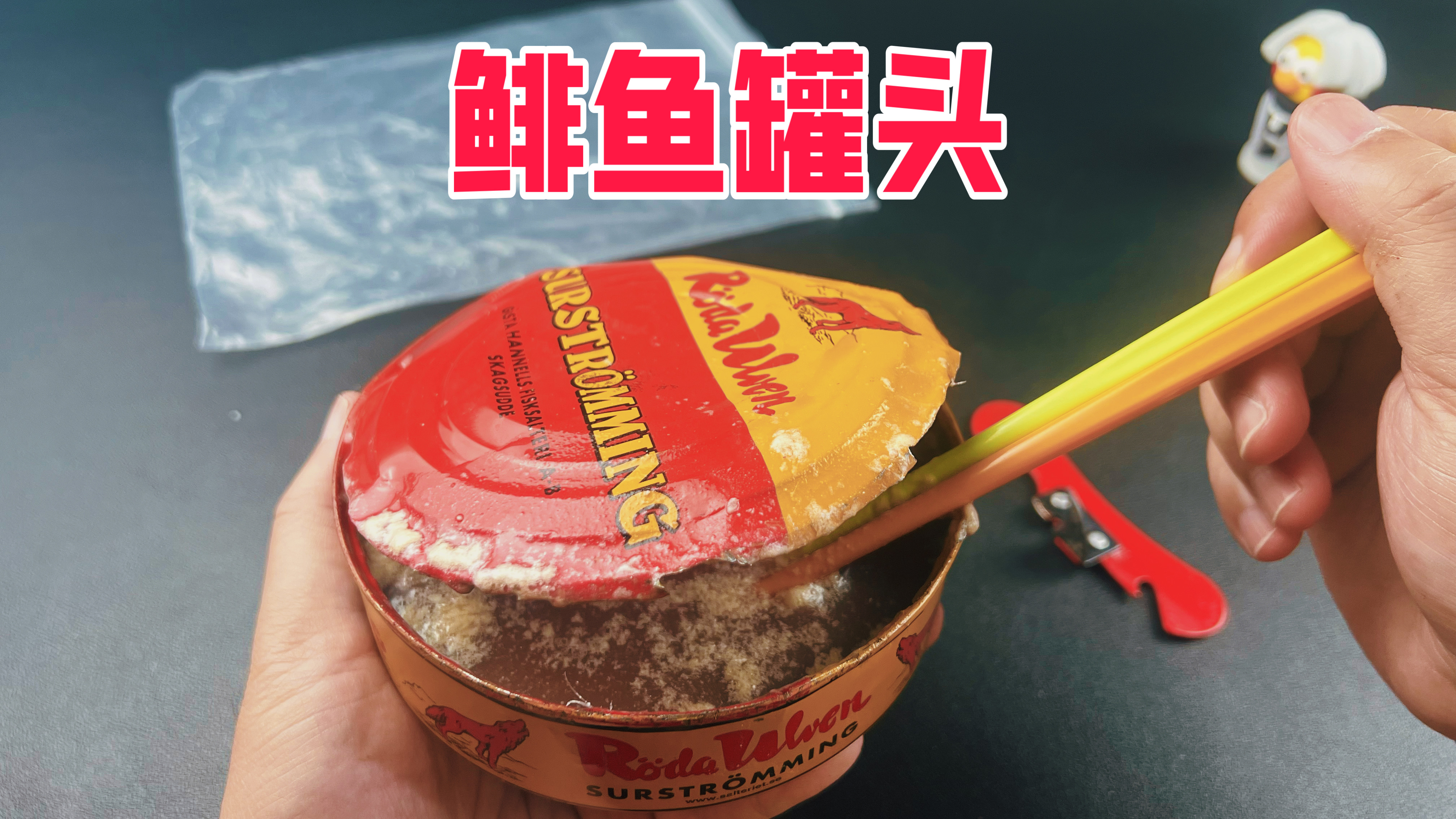 试吃粉丝推荐的鲱鱼罐头，吃完连夜卖房搬家！