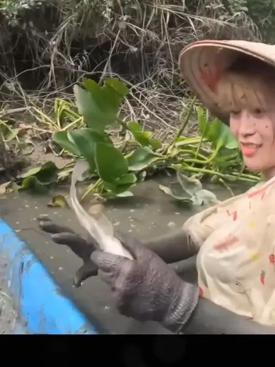越南妹纸泥潭徒手抓鱼,自然水域,正常穿搭,无不良引导