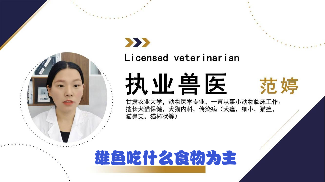 雄鱼吃什么食物为主