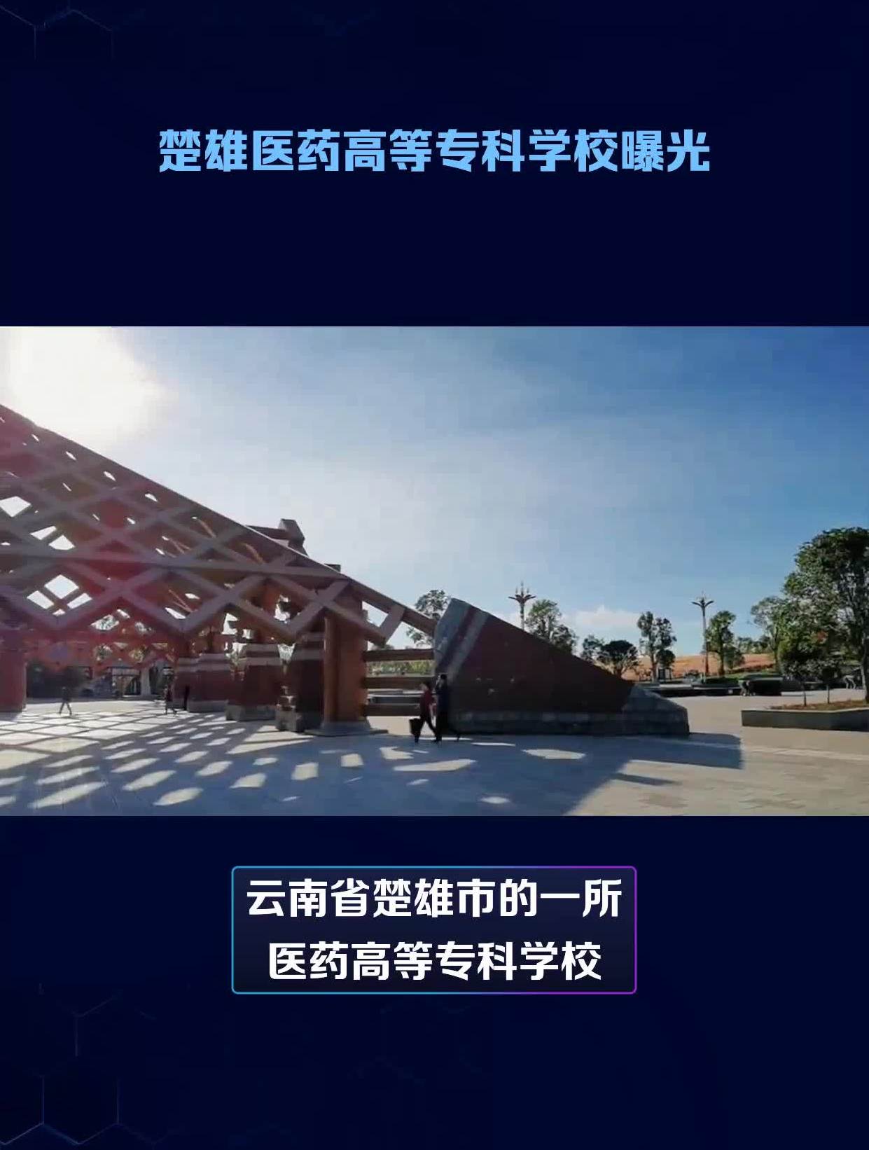 楚雄医药高等专科学校曝光