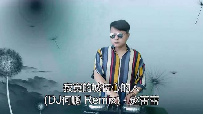 [图]这首《寂寞的城伤心的人 (DJ何鹏 Remix)》