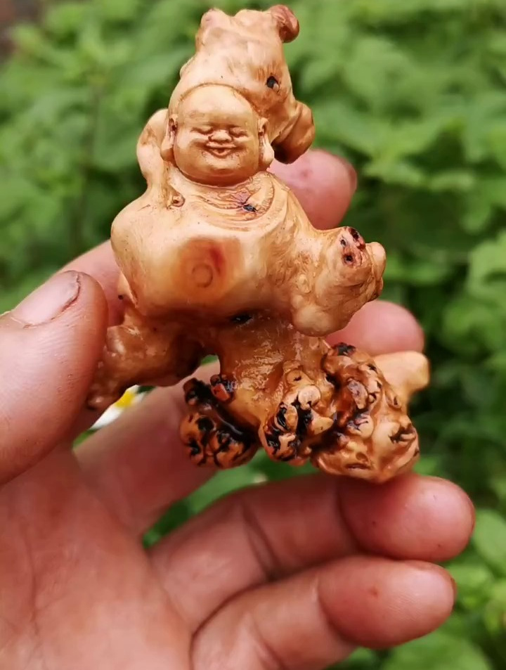 给大家来一个黑果木随形制作的小弥勒手把件