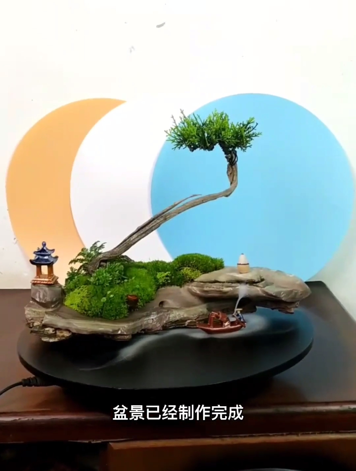 盆景艺术 微景观制作 植物造景 石来运转