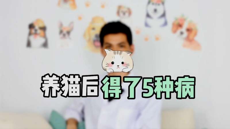 养猫后,容易得这“5种病”,看你有中招吗?