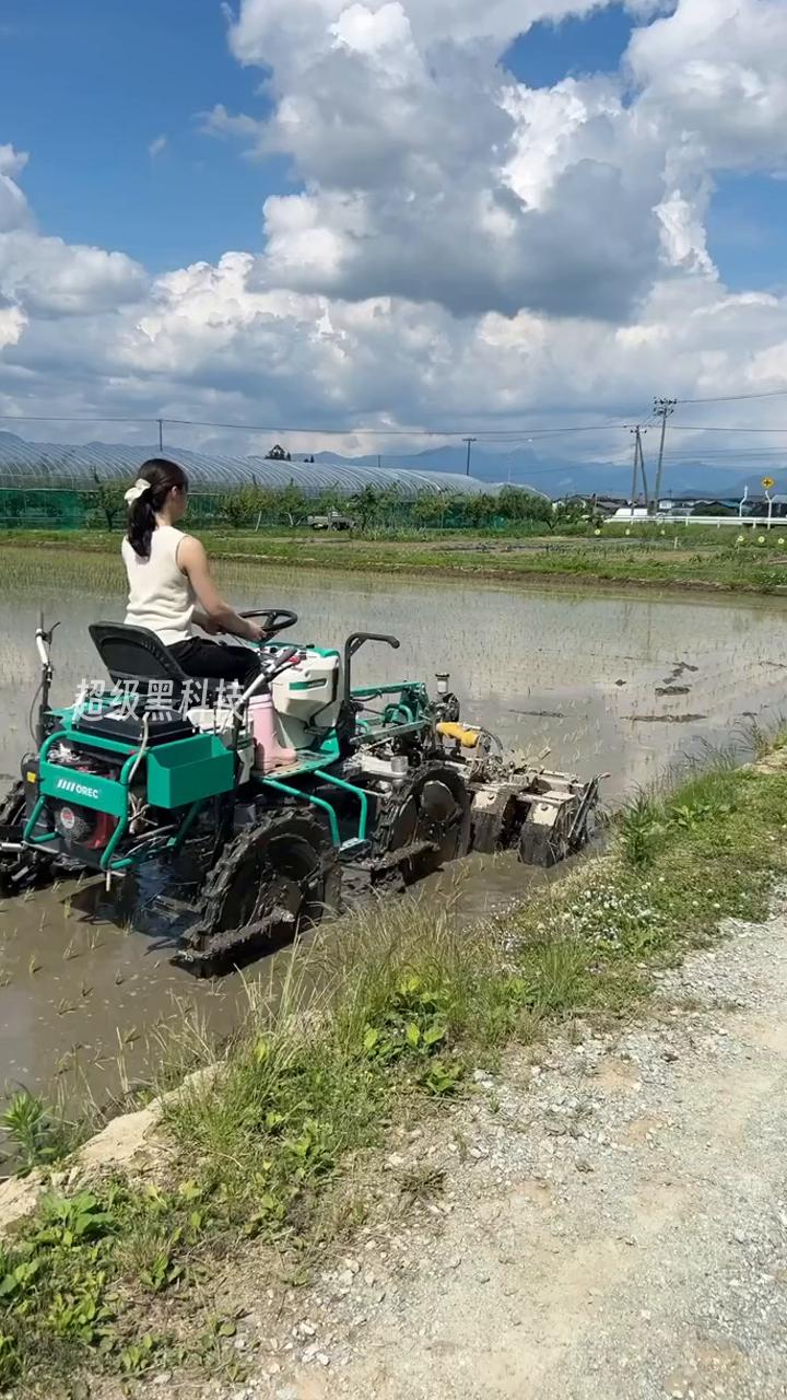 美女开拖拉机稻田除草