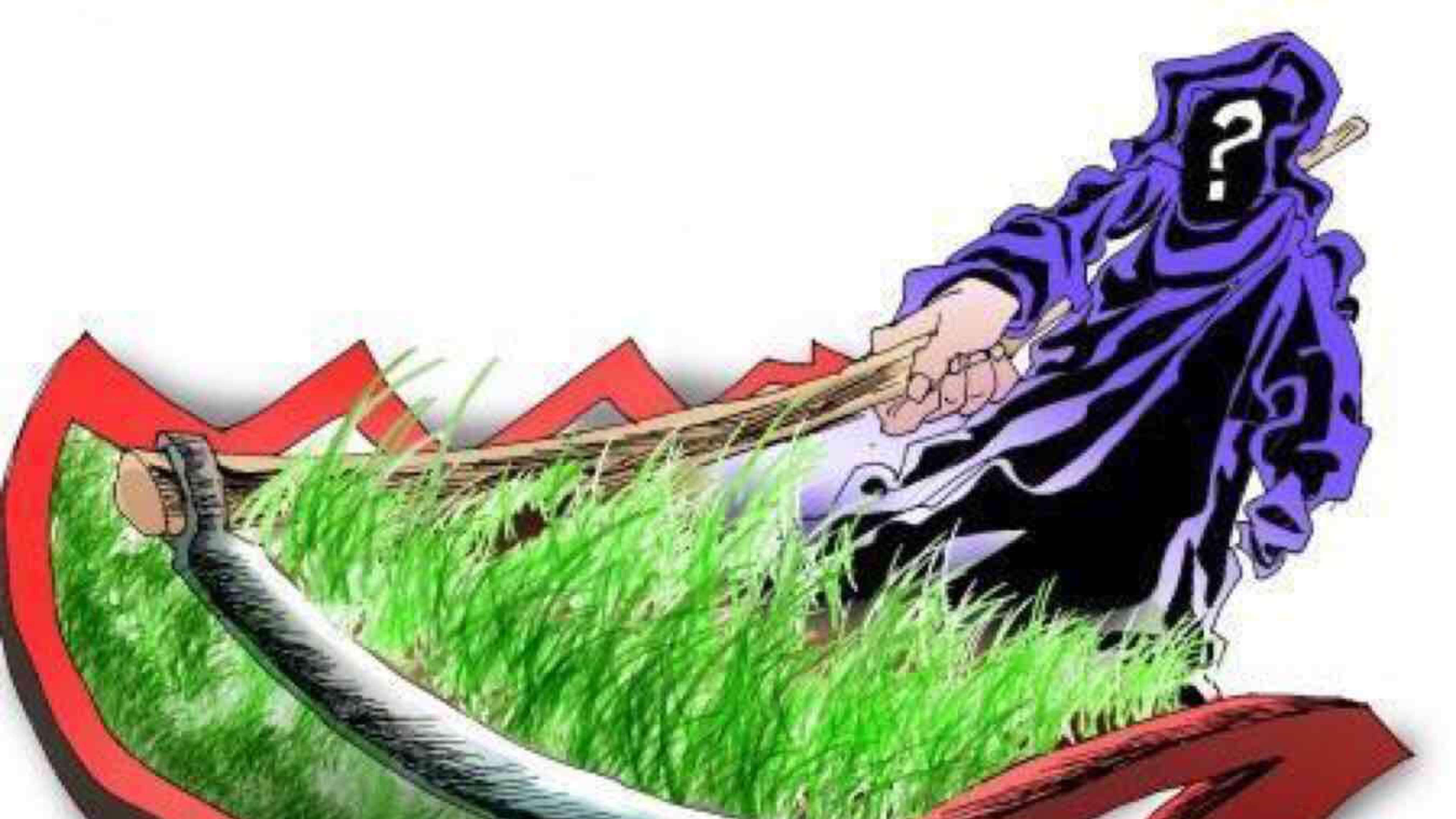 什么是币圈里的韭菜?你究竟是不是韭菜呢?