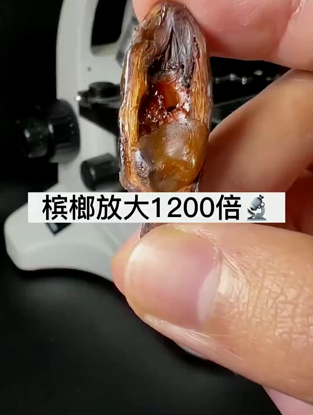 吃槟榔牙齿漆黑依旧上瘾,显微镜放大百倍探秘,到底什么在控制你