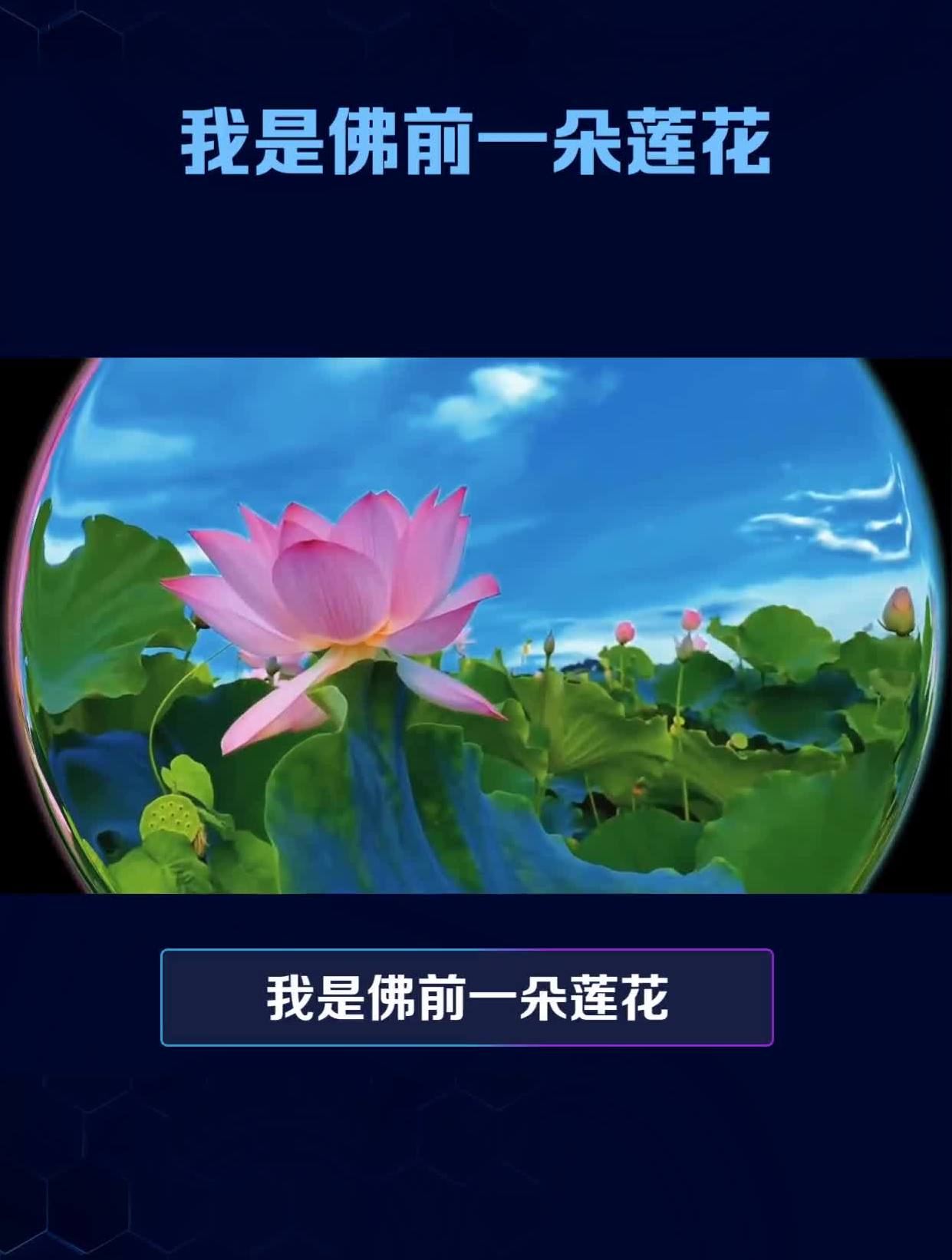 我是佛前一朵莲花