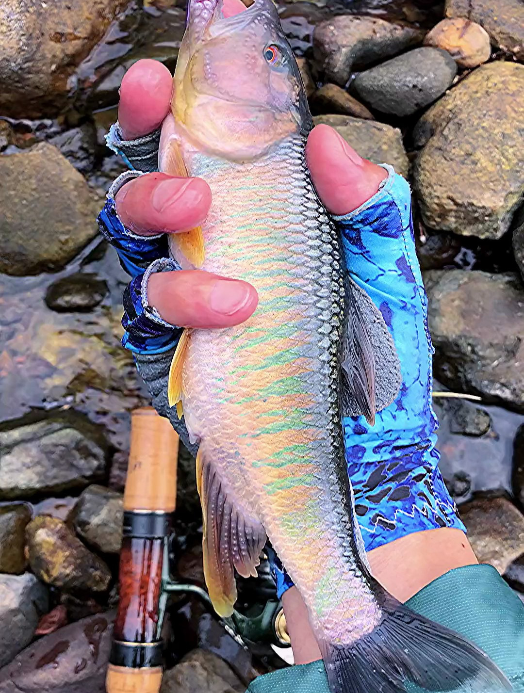 路亚马口,休闲运动