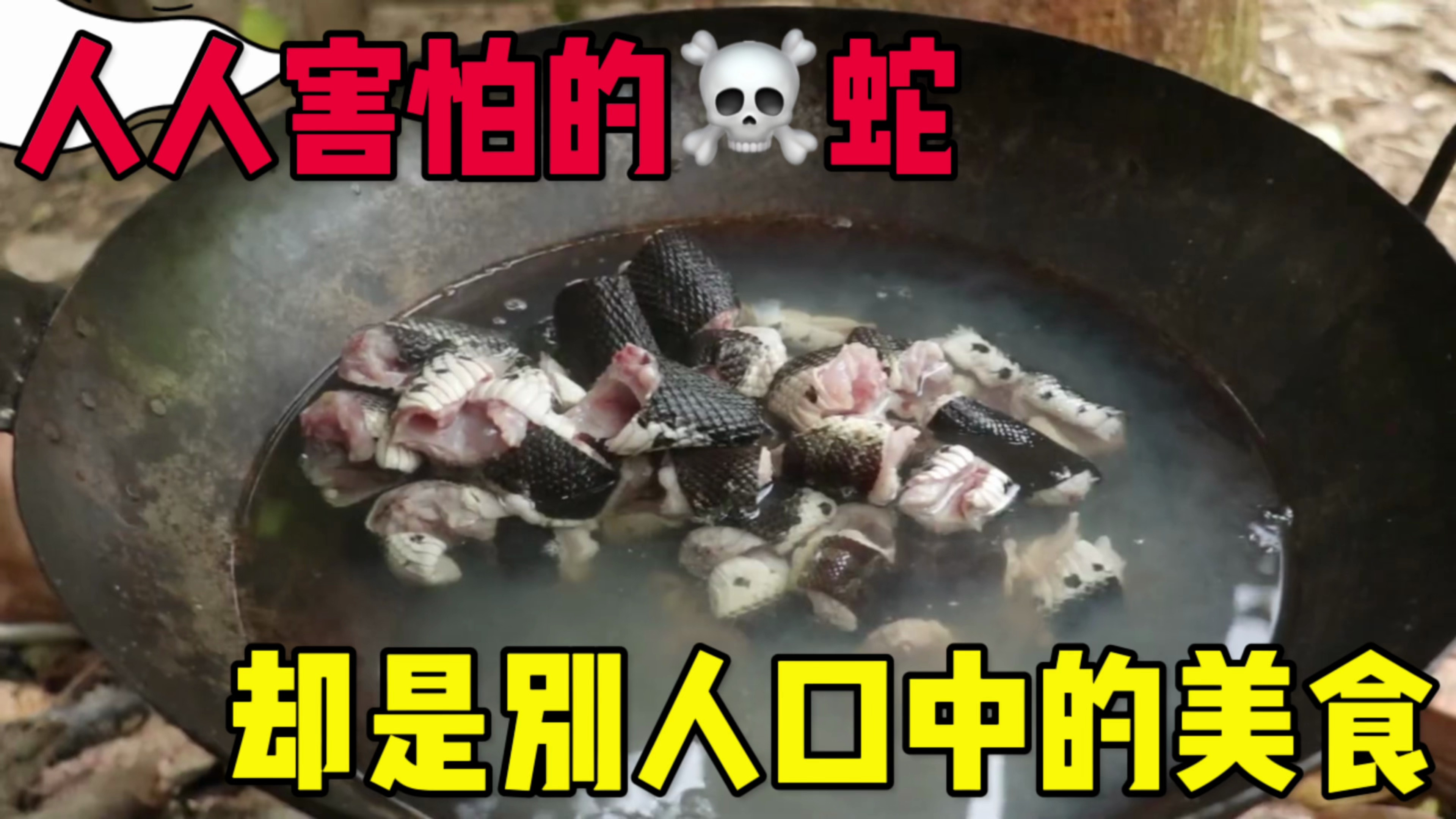 两妹子炖蛇汤吃蛇肉,别提有多美味了