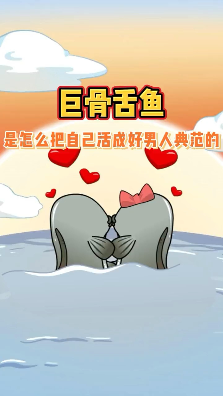 自然界的好男人巨骨舌鱼大部分女生的世纪难题居然可以游刃有余