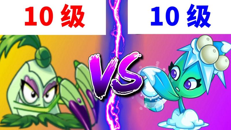 pvz2实测10级的穿刺秋葵和10级的槲寄冰仙子哪个更厉害