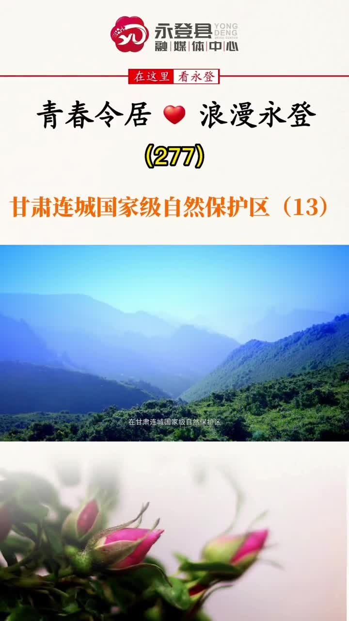 甘肃连城国家级自然保护区13