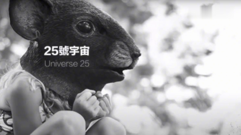 25号宇宙"老鼠乌托邦"实验告诉我们什么?